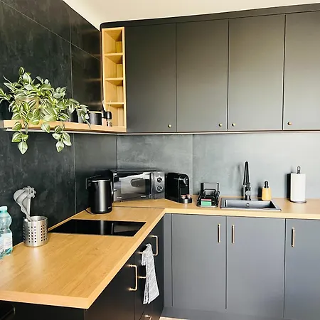 Apartment Silesian Gold